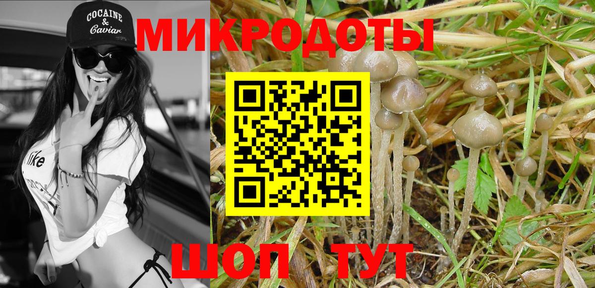 Псилоцибиновые грибы Psilocybine cubensis Новочебоксарск