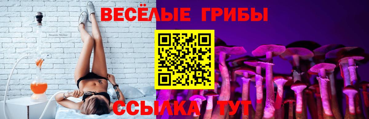 купить наркотики сайты  Псилоцибиновые грибы мицелий  Вход с VPN  Псилоцибиновые грибы GOLDEN TEACHER  Новочебоксарск 